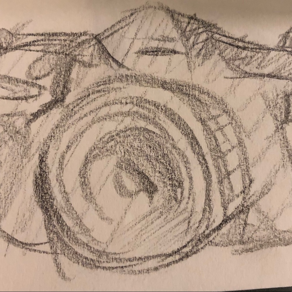 Meet your Posher, Gracen